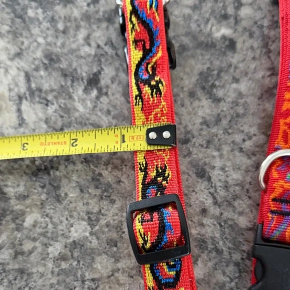 21 Vibrant Multicolor Dog Collars used